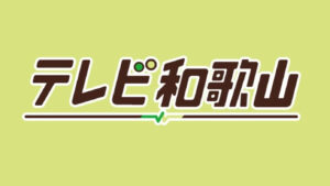 テレビ和歌山アンテナ以外で視聴する方法